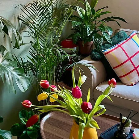 Private In Center Homestay Montpellier
