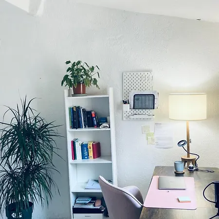 Homestay Female Private In Center Montpellier
