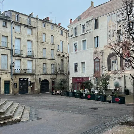 Female Private In Center Homestay Montpellier